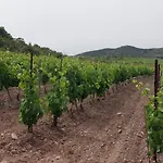 Mas Montluzia 3* Cascastel-des-Corbières