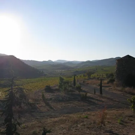 Mas Montluzia Bed & Breakfast 3*