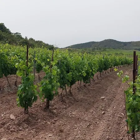 Mas Montluzia 3* Cascastel-des-Corbières