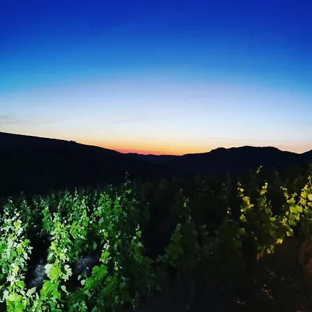 Bed & Breakfast Mas Montluzia Cascastel-des-Corbieres