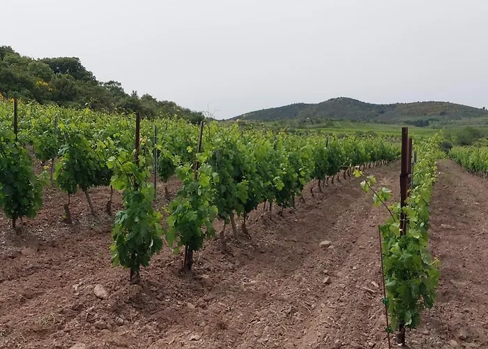 Mas Montluzia 3* Cascastel-des-Corbières
